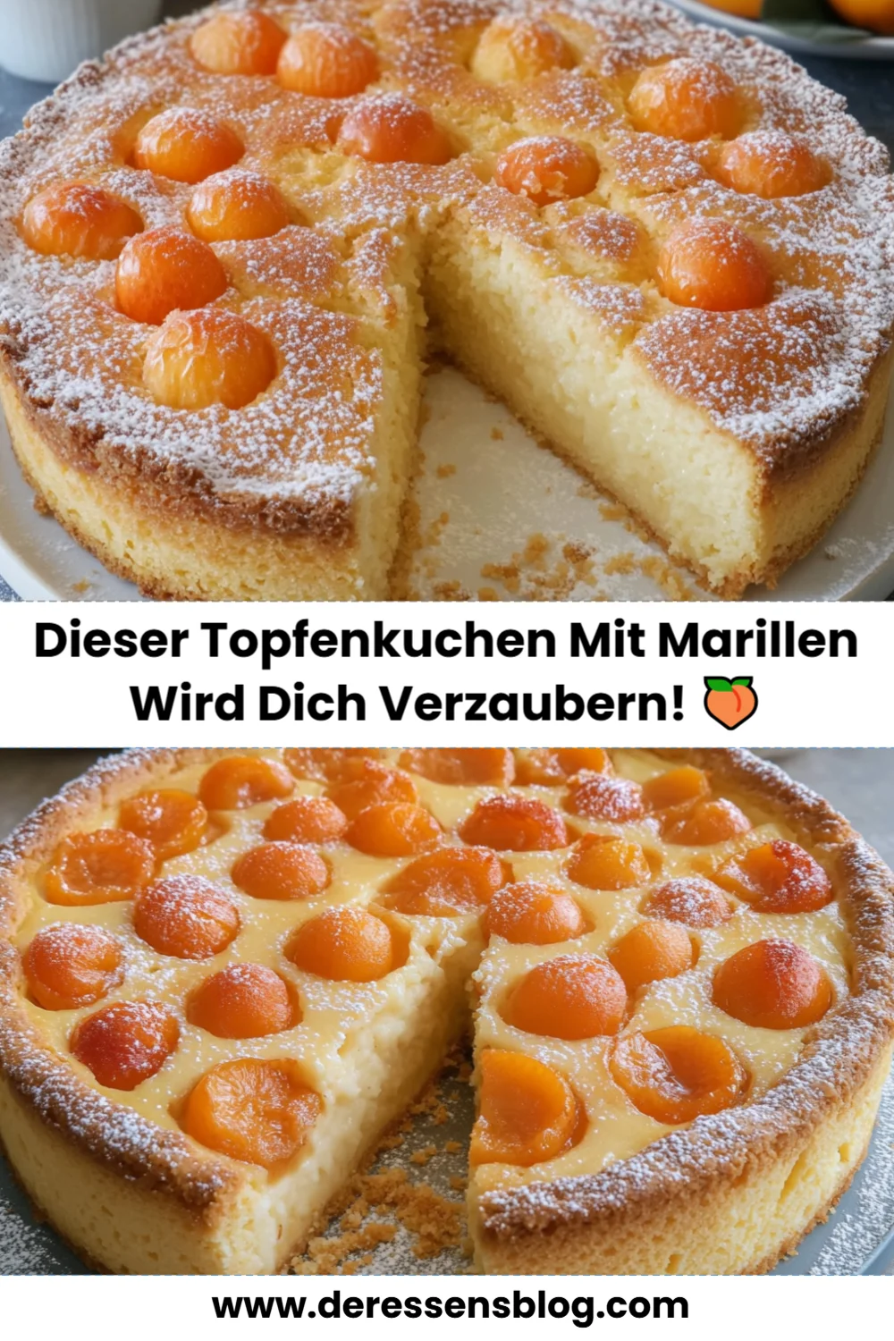 Verführerischer Topfenkuchen mit Marillen – Ein einfaches Rezept für fruchtigen Genuss!